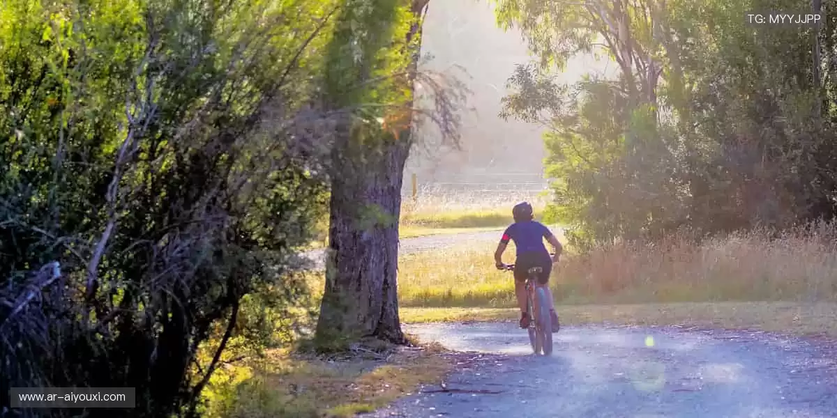 📺锁定直播，你的视角就是主场！
